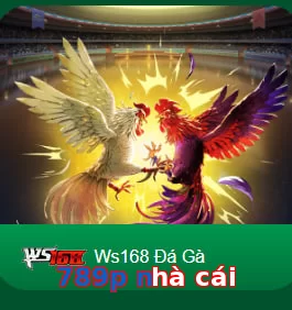 789p nhà cái